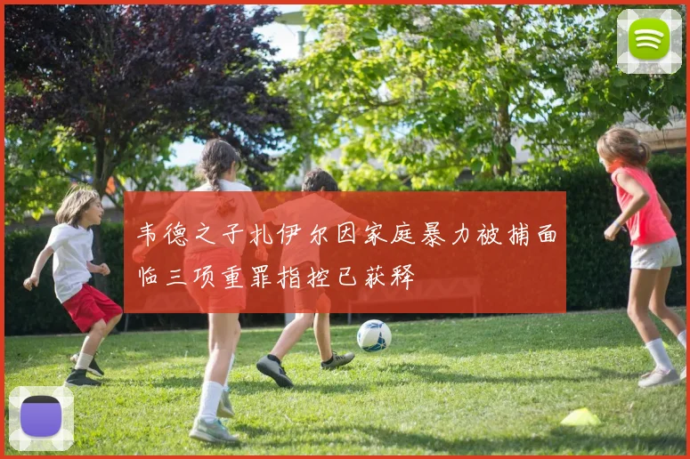 韦德之子扎伊尔因家庭暴力被捕面临三项重罪指控已获释